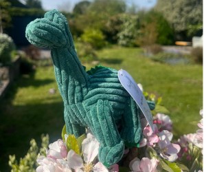 Untitled design - 2026-04-22T134001.284